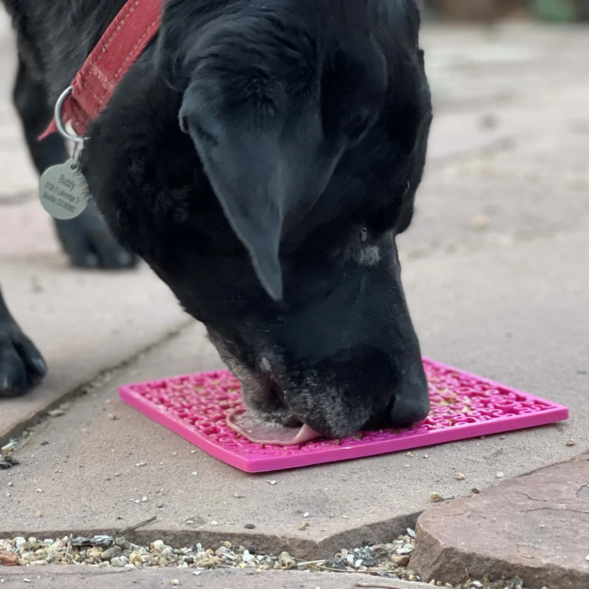 Jigsaw Puzzle Enrichment Lick Mat – Anxiety Relief, USA Made – alternate view 10