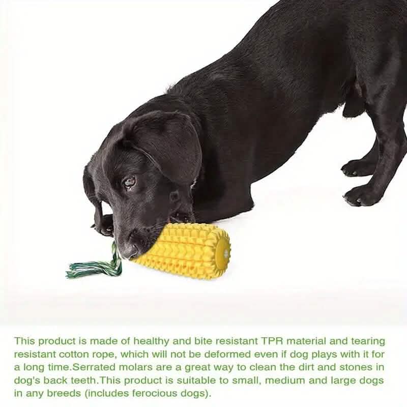 Squeaky Corn Chew Toy for Dogs Interactive TPR – photo 6 of 7