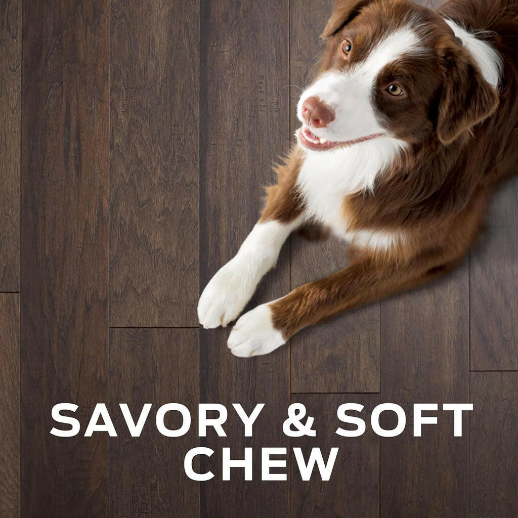 Purina Pro Plan Veterinary Diets Digestive Health Bites Soft and Chewy Dog Treats – photo 3 of 9