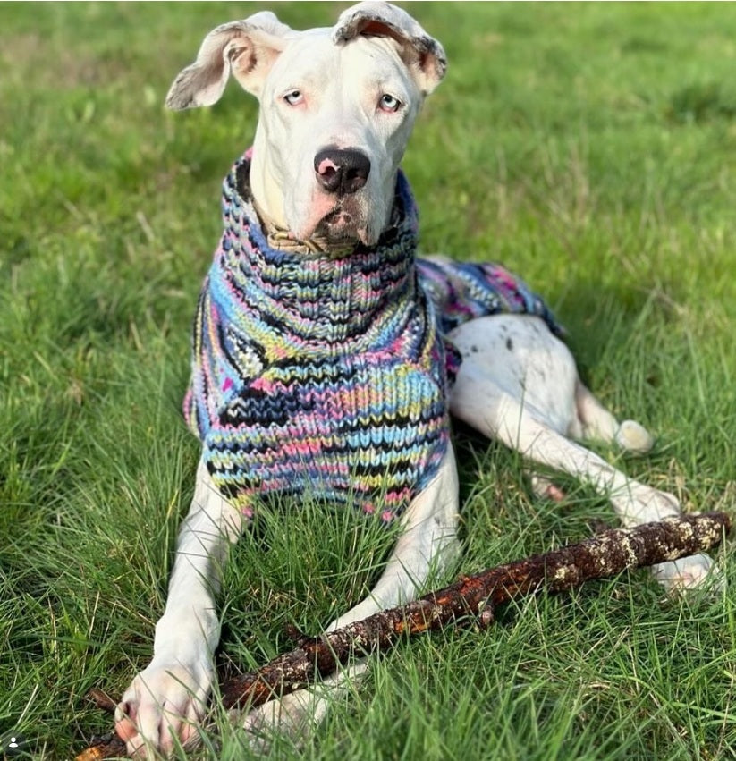Purple Woodstock Dog Sweater Hand Knit Wool and Alpaca – photo 7 of 9