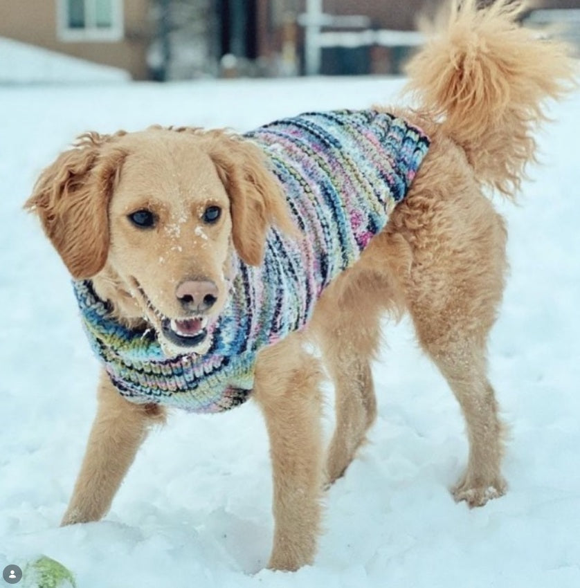Purple Woodstock Dog Sweater Hand Knit Wool and Alpaca – photo 8 of 9