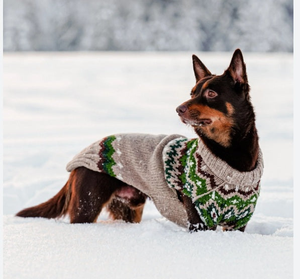 Ragg Wool Fair Isle Dog Sweater Shawl Collar – photo 5 of 6