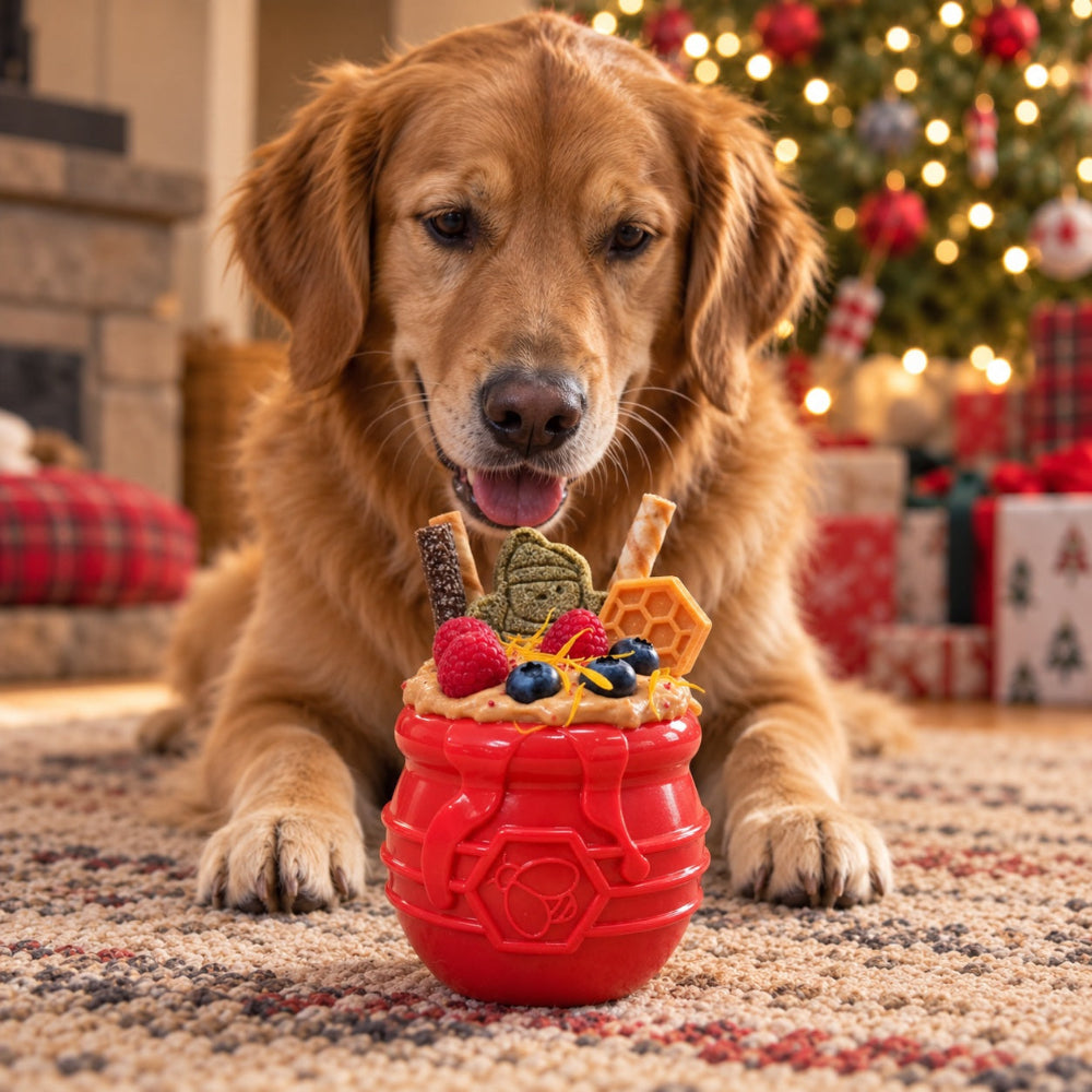 SodaPup Honey Pot Treat Dispenser Toy – alternate view 7