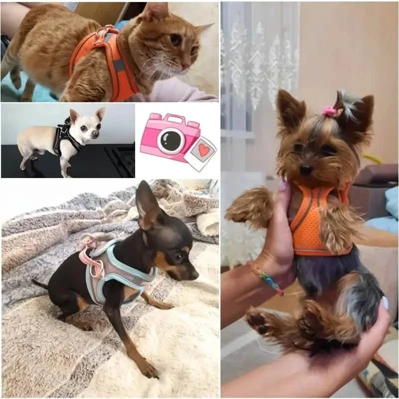 Reflective Dog Harness with Leash Adjustable Breathable – photo 13 of 14