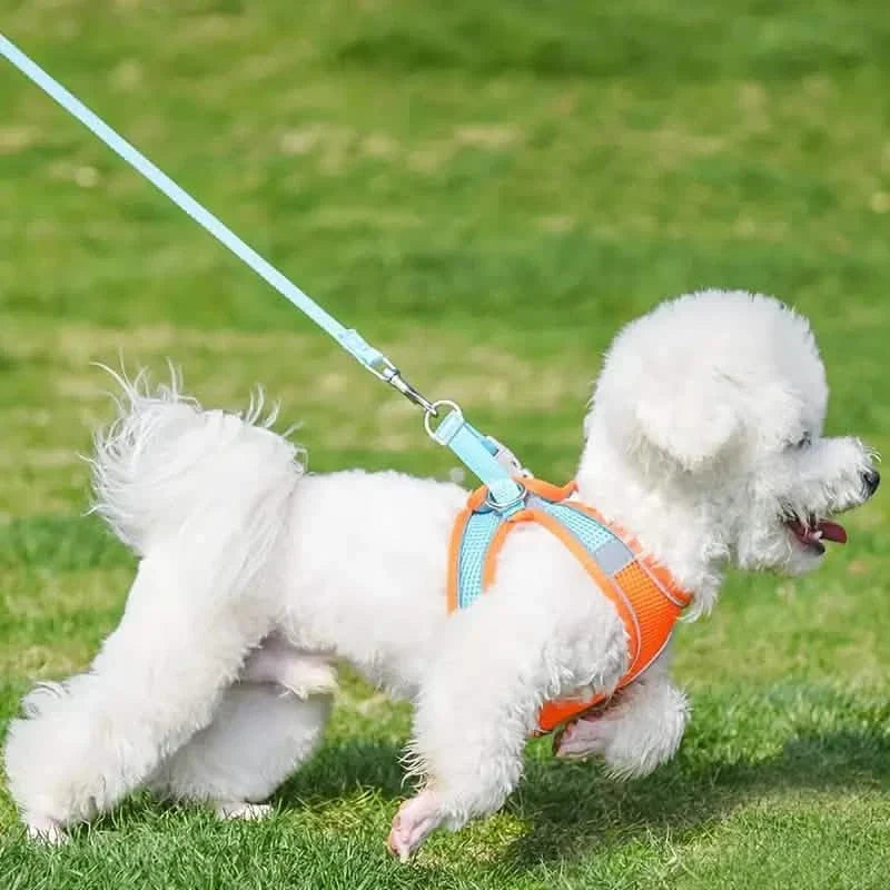Reflective Dog Harness with Leash Adjustable Breathable – photo 1 of 14