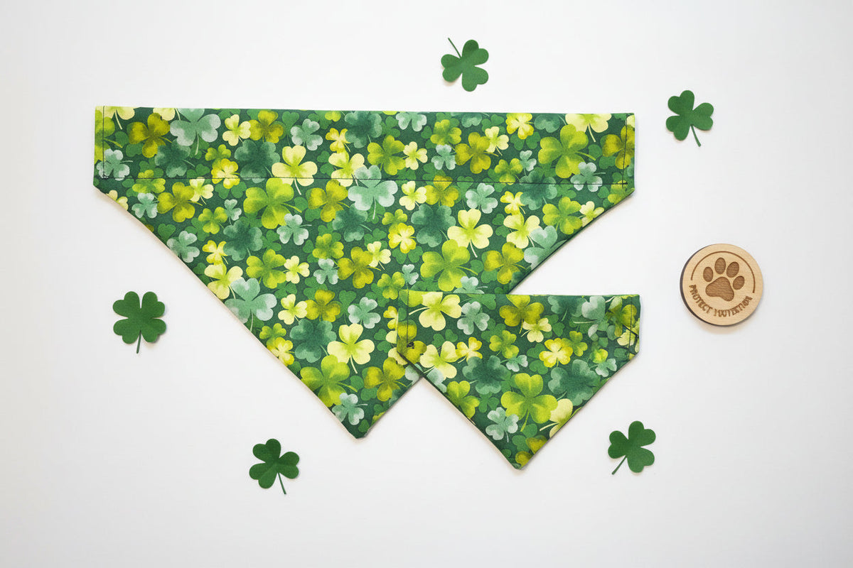 Saint Patricks Day Dog Bandanas, alternate view