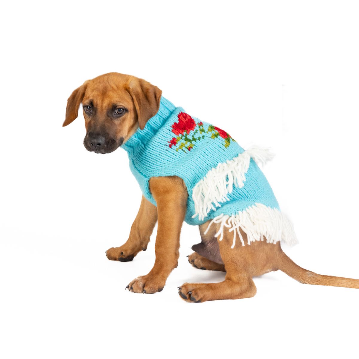 Rodeo Dog Sweater Turquoise and Red Southwest – photo 5 of 6