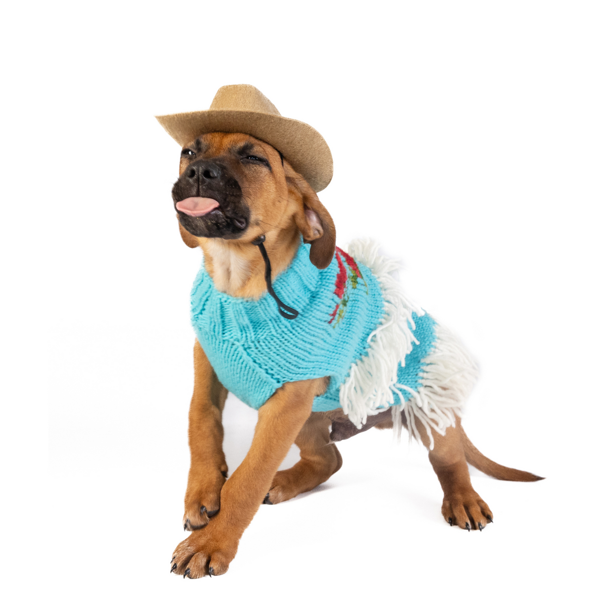 Rodeo Dog Sweater Turquoise and Red Southwest – photo 3 of 6