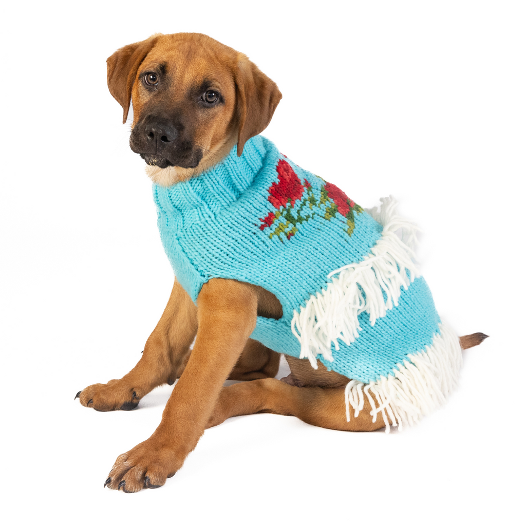 Rodeo Dog Sweater Turquoise and Red Southwest – photo 1 of 6