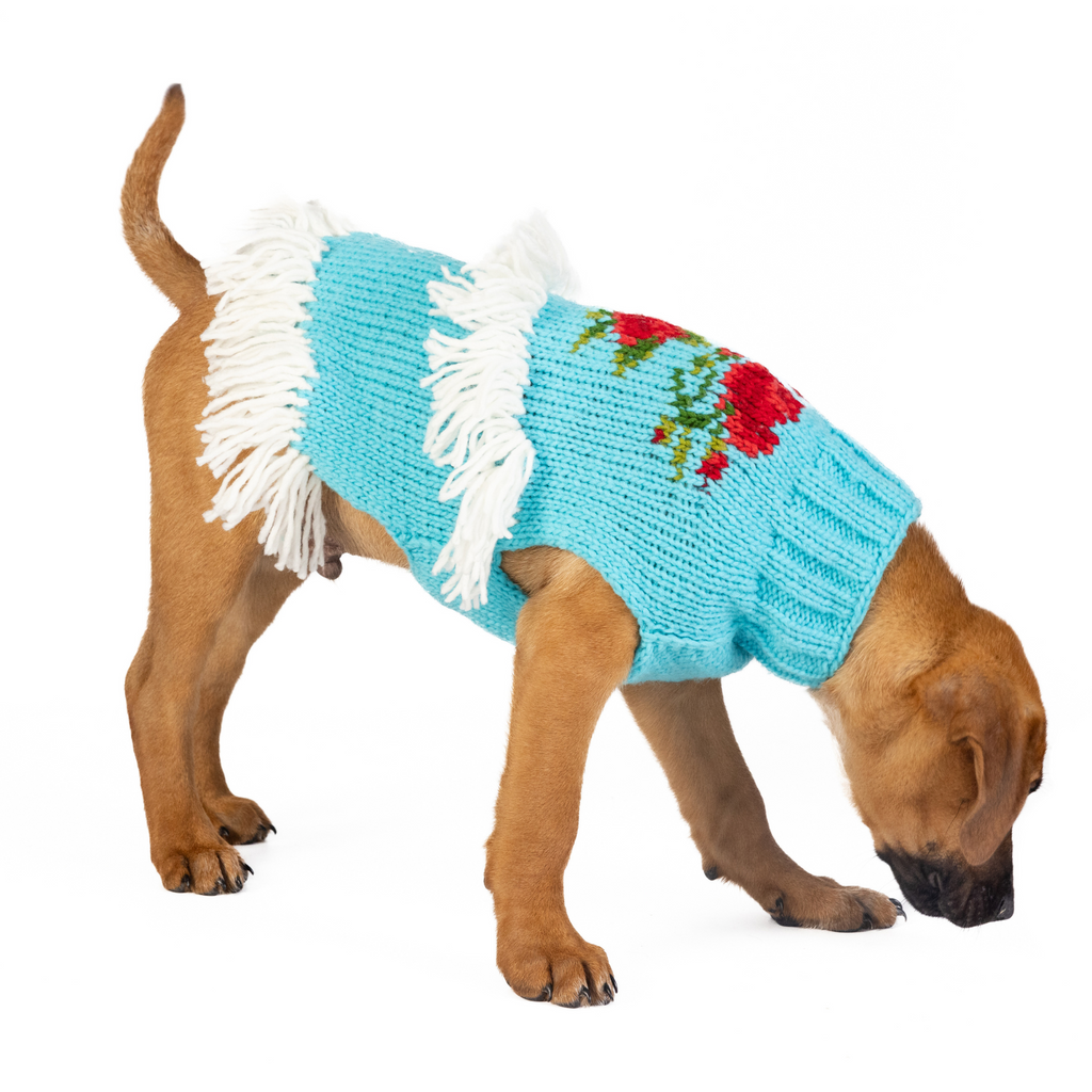 Rodeo Dog Sweater Turquoise and Red Southwest – photo 4 of 6
