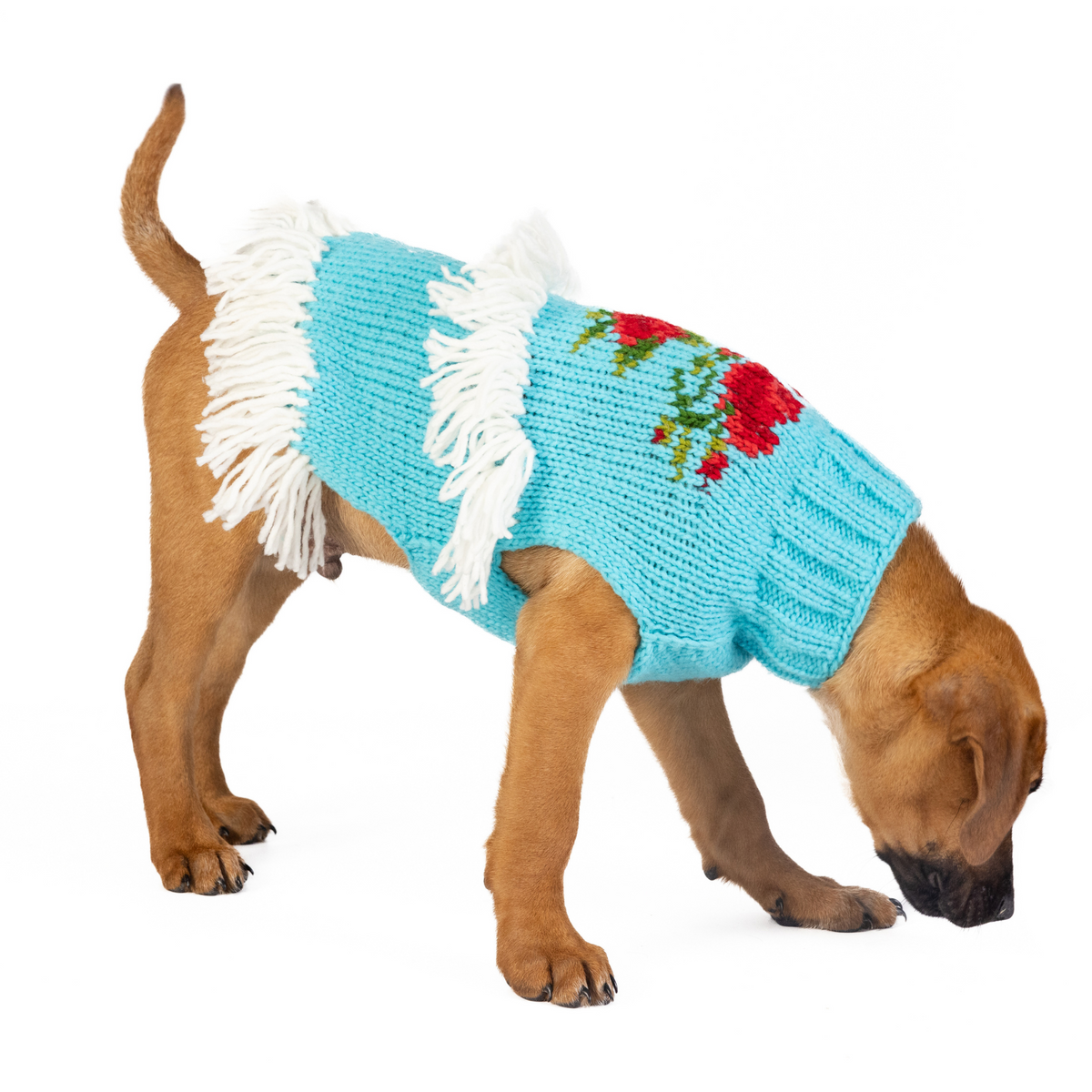 Rodeo Dog Sweater Turquoise and Red Southwest – photo 4 of 6