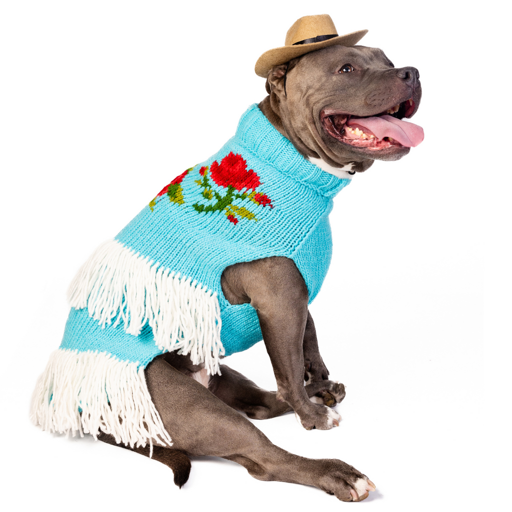 Rodeo Dog Sweater Turquoise and Red Southwest – photo 2 of 6