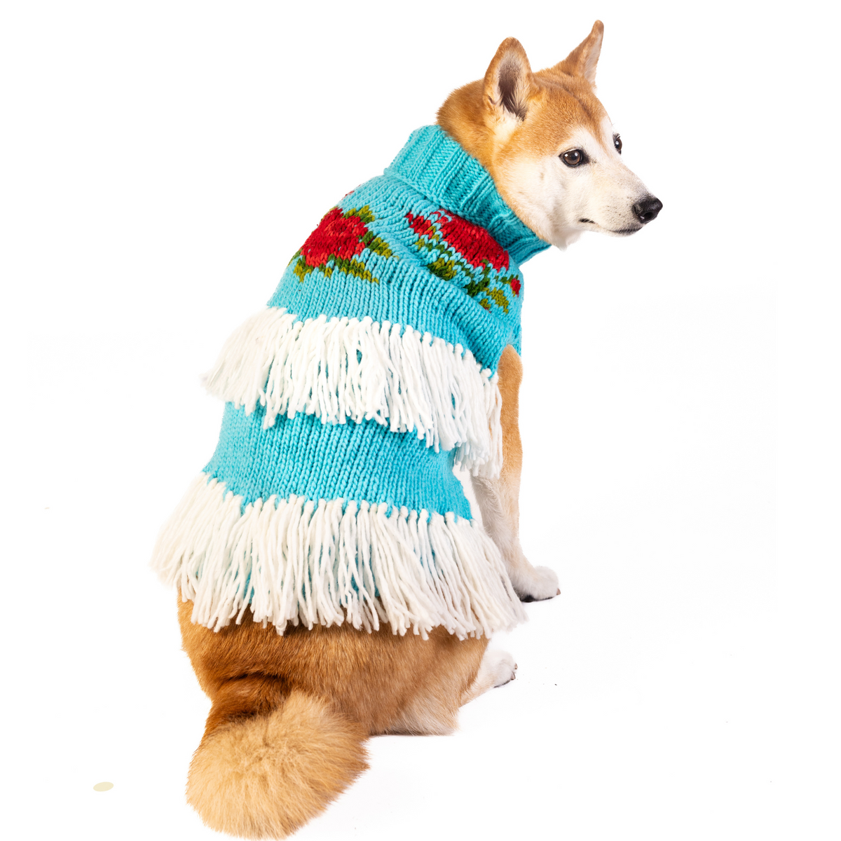 Rodeo Dog Sweater Turquoise and Red Southwest – photo 6 of 6