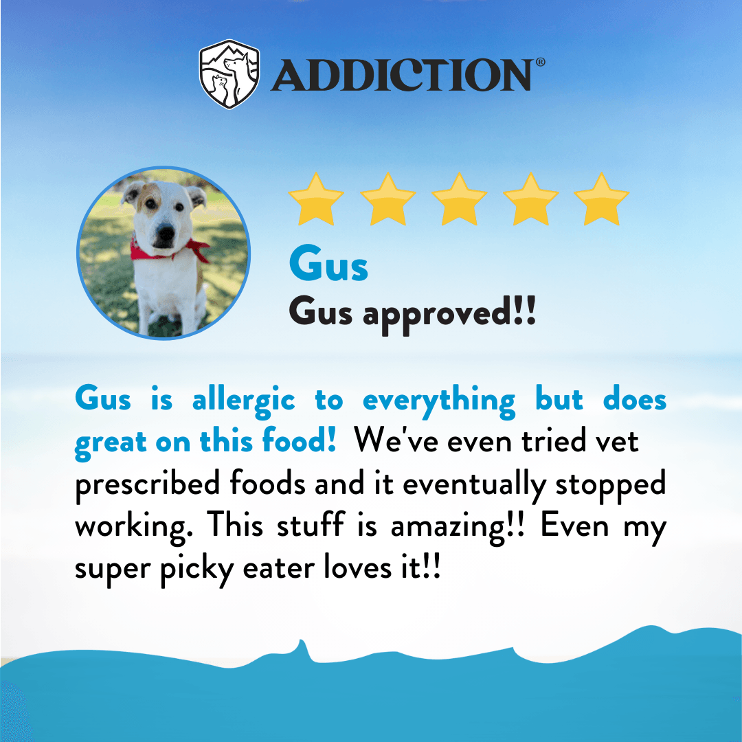 Salmon Bleu Dry Dog Food – alternate view 4