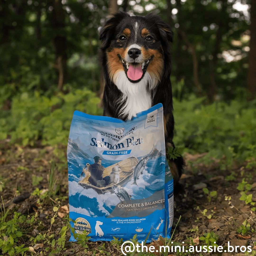 Salmon Bleu Dry Dog Food – alternate view 10