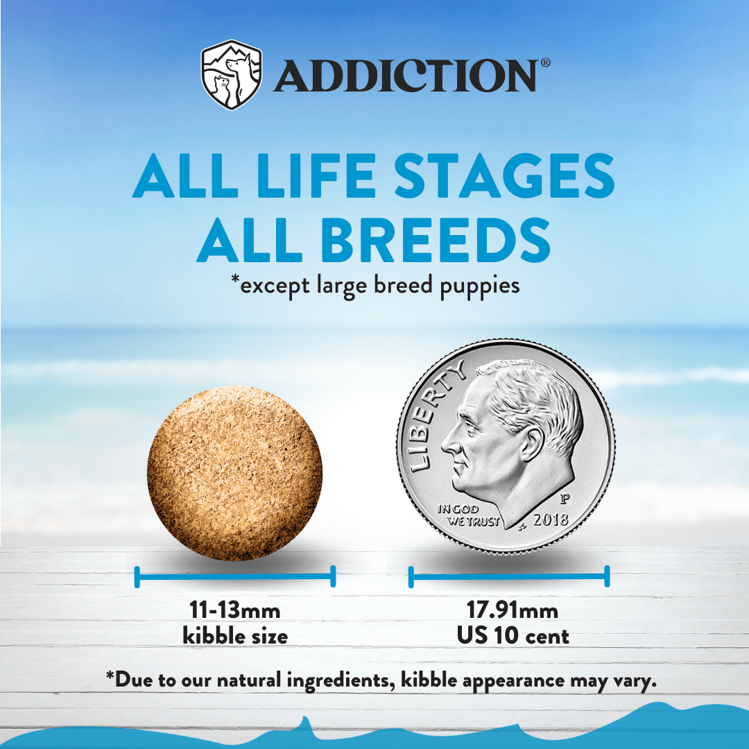 Salmon Bleu Dry Dog Food – alternate view 3
