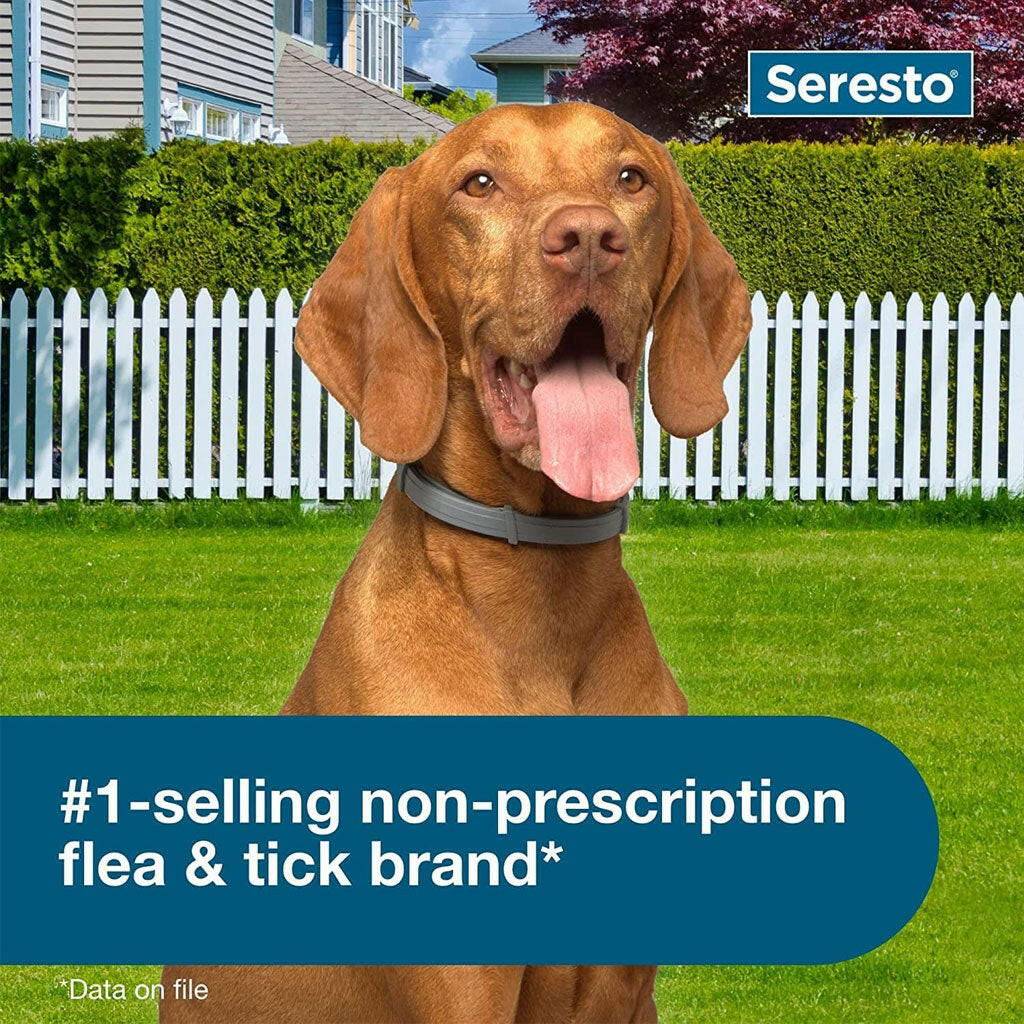 Seresto Flea Tick Collar Bundle Small Large Dogs – photo 5 of 8