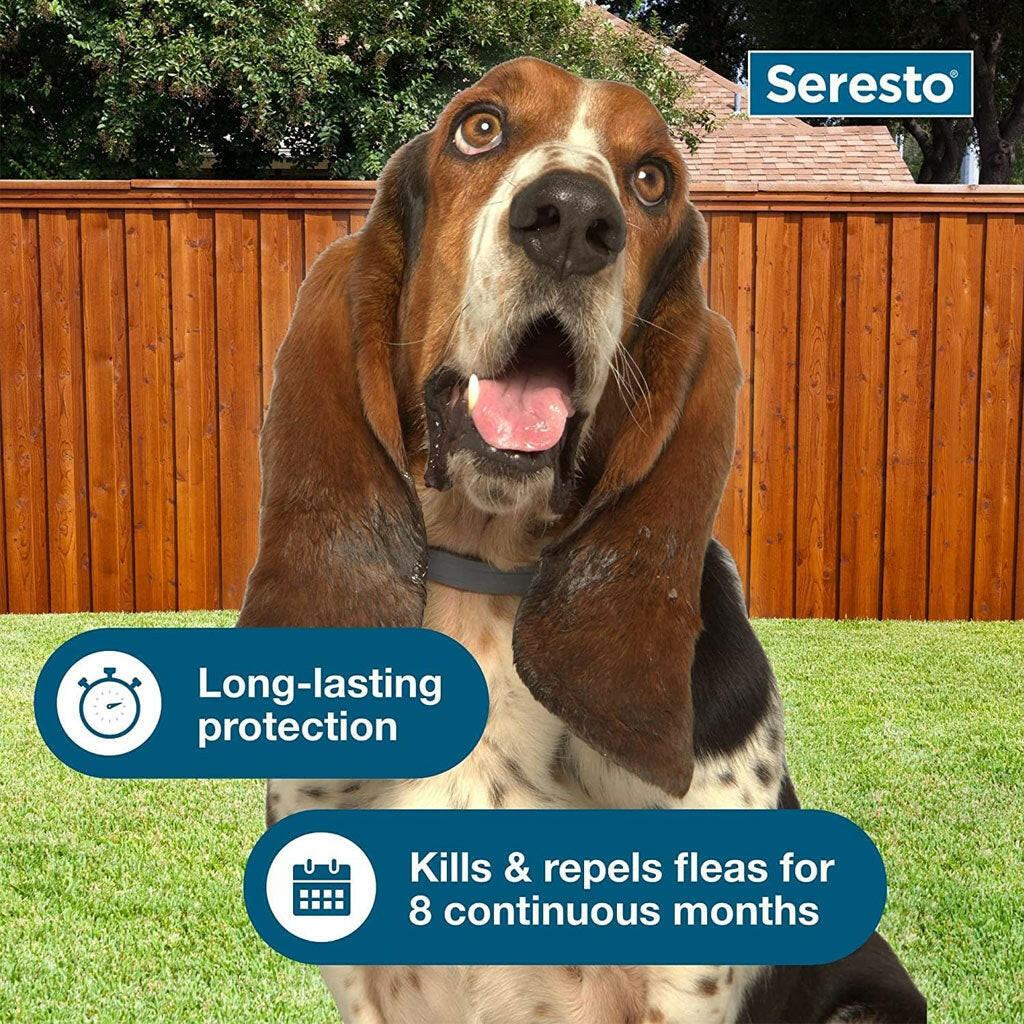 Seresto Flea Tick Collar Bundle Small Large Dogs – photo 6 of 8