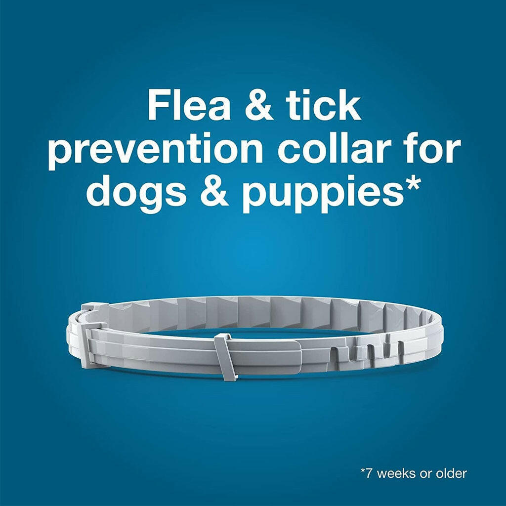 Seresto Flea Tick Collar Bundle Small Large Dogs – photo 4 of 8