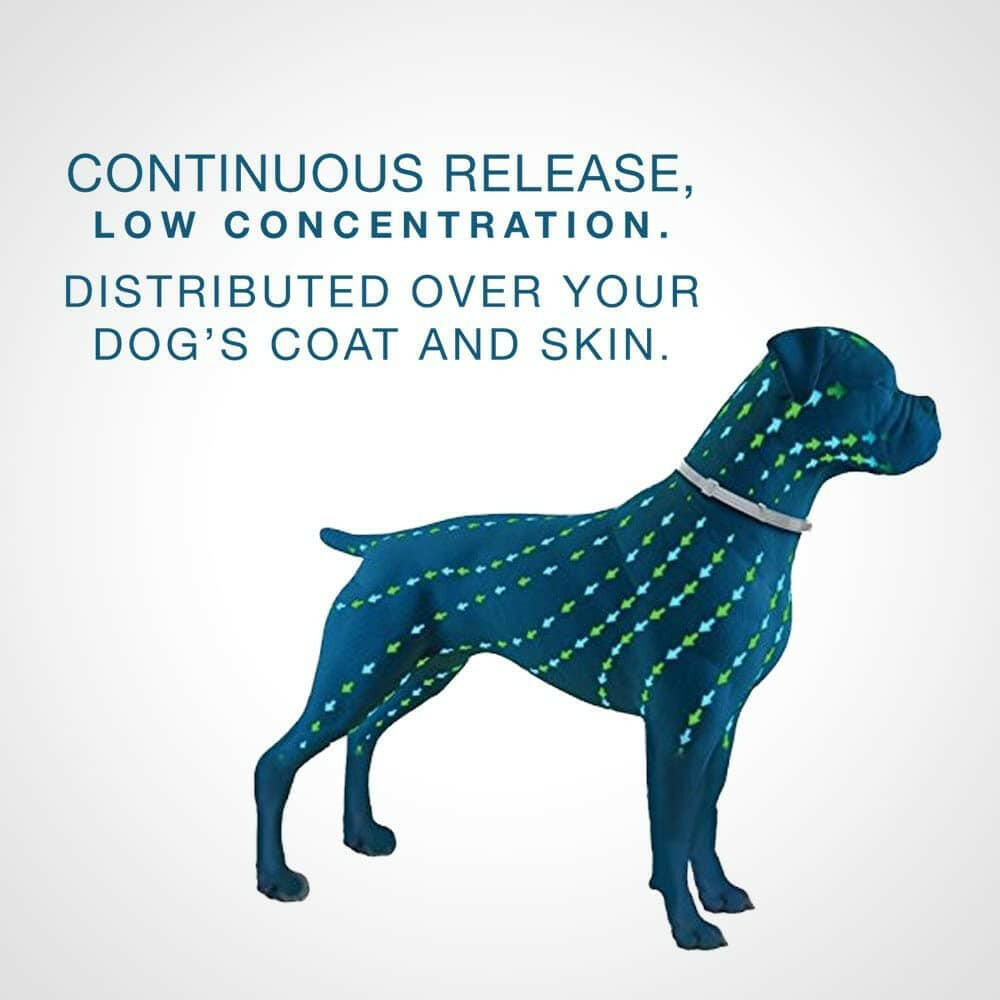Seresto Flea Tick Collar Small Dogs – photo 8 of 12