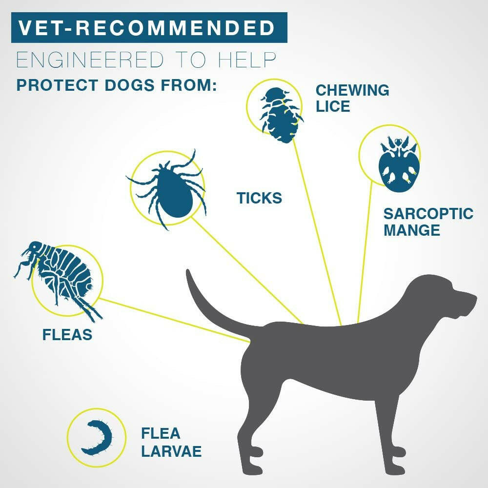 Seresto Flea Tick Collar Small Dogs – photo 4 of 12