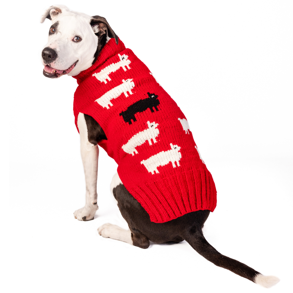 Black Sheep Dog Sweater Sheep Pattern – photo 1 of 6