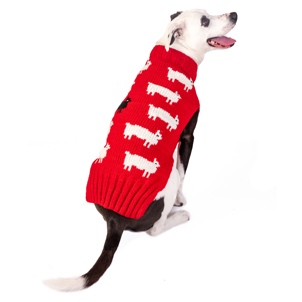Black Sheep Dog Sweater Sheep Pattern – photo 5 of 6