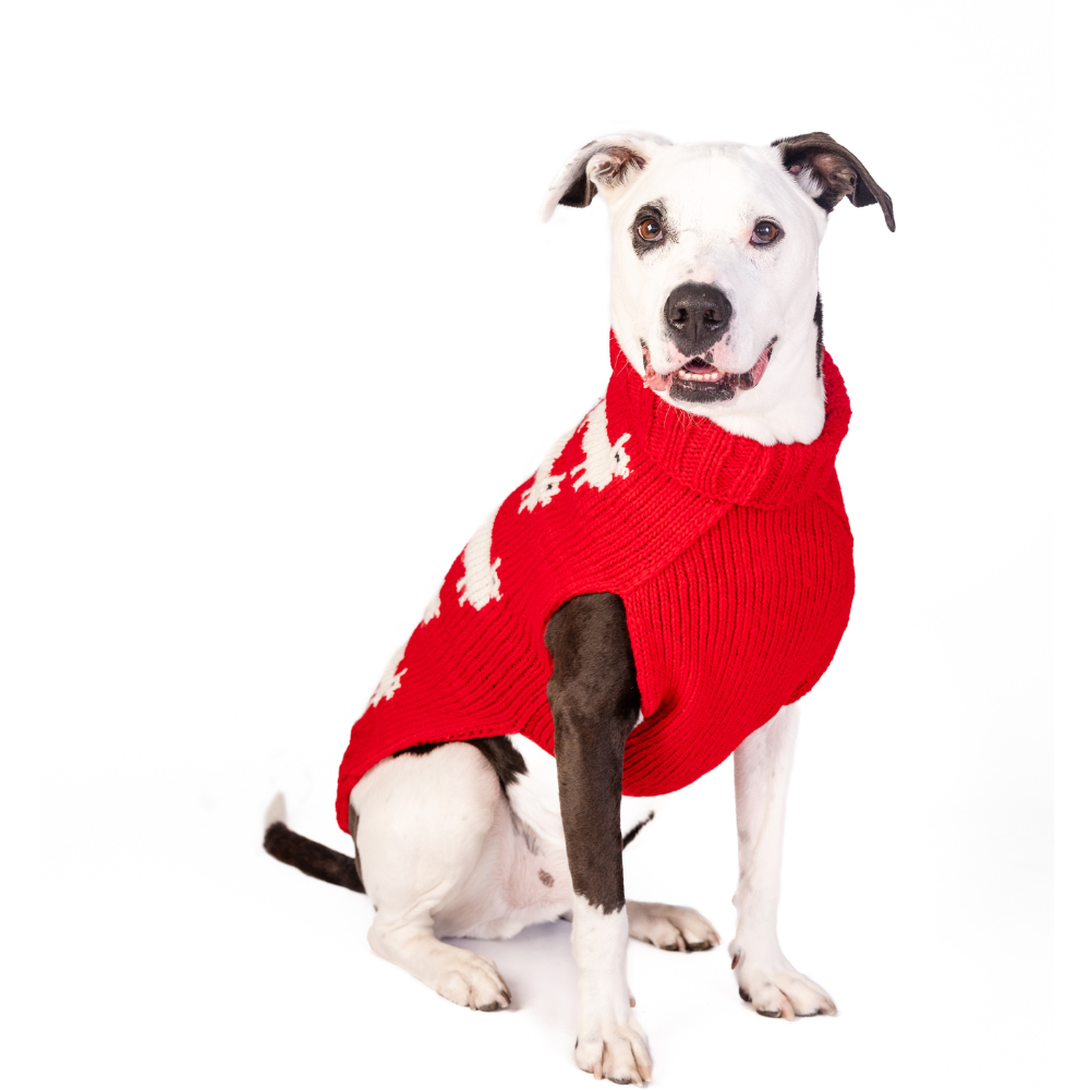 Black Sheep Dog Sweater Sheep Pattern – photo 2 of 6