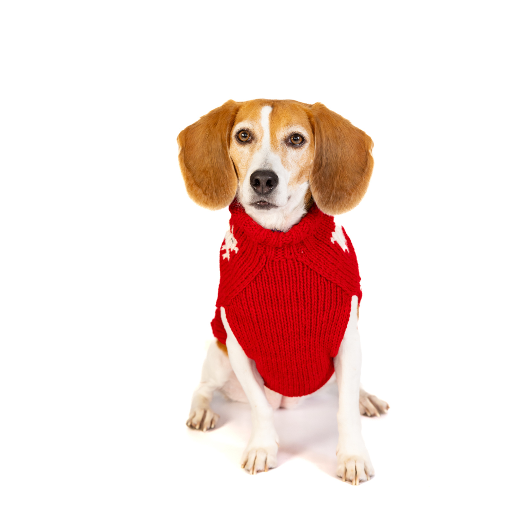Black Sheep Dog Sweater Sheep Pattern – photo 6 of 6