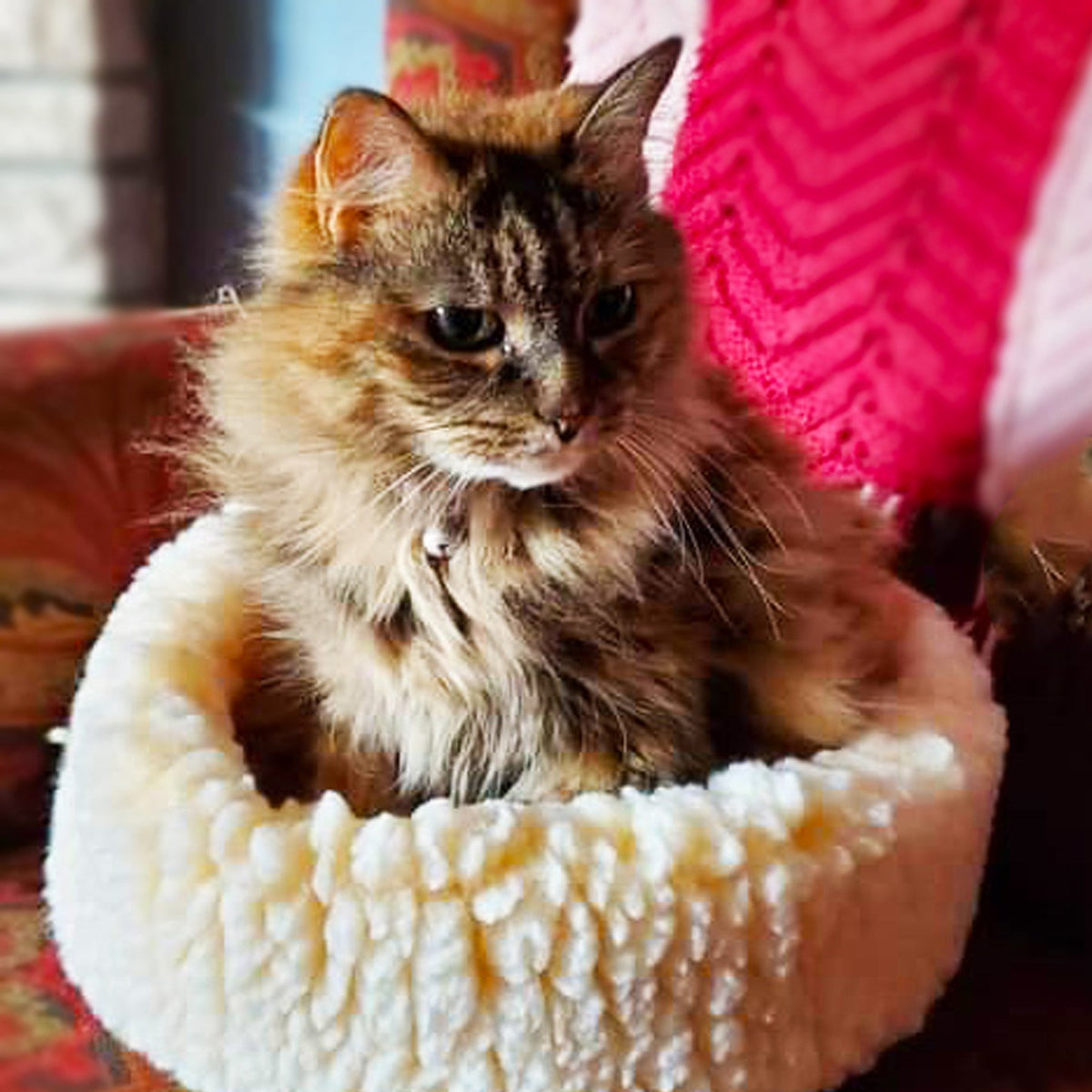 HuggleFleece HuggleSnuggler Cat  Dog Beds, side view
