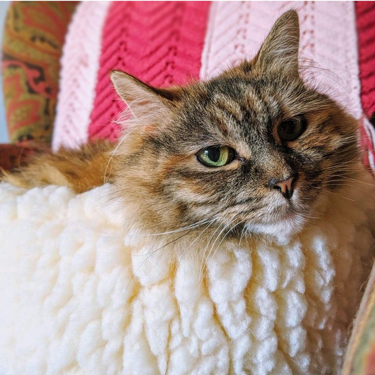 HuggleFleece HuggleSnuggler Cat  Dog Beds, lifestyle
