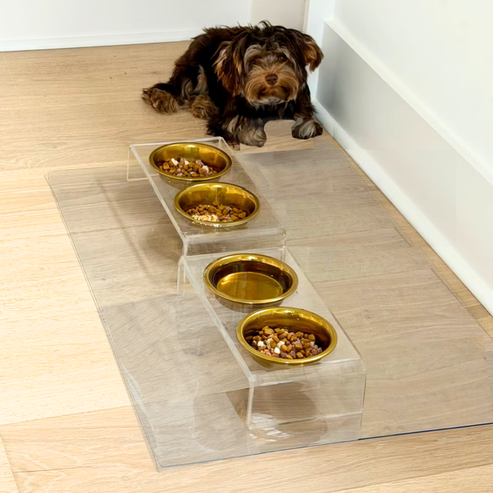 Hiddin Small Gold Feeder – Lucite Stand with Stainless Steel Bowls – alternate view 25
