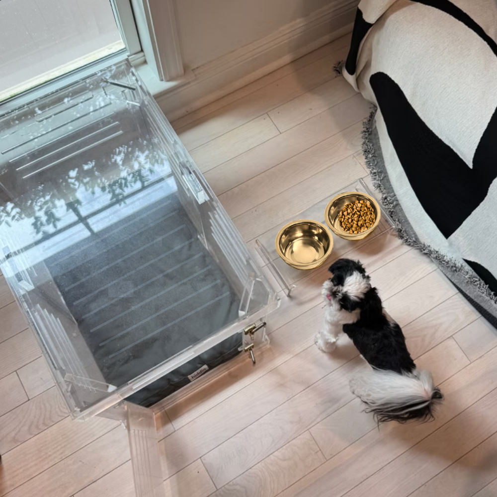 Hiddin Small Gold Feeder – Lucite Stand with Stainless Steel Bowls – alternate view 23