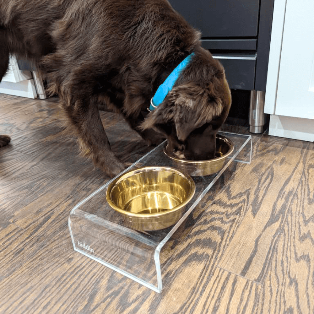 Hiddin Small Gold Feeder – Lucite Stand with Stainless Steel Bowls – alternate view 22