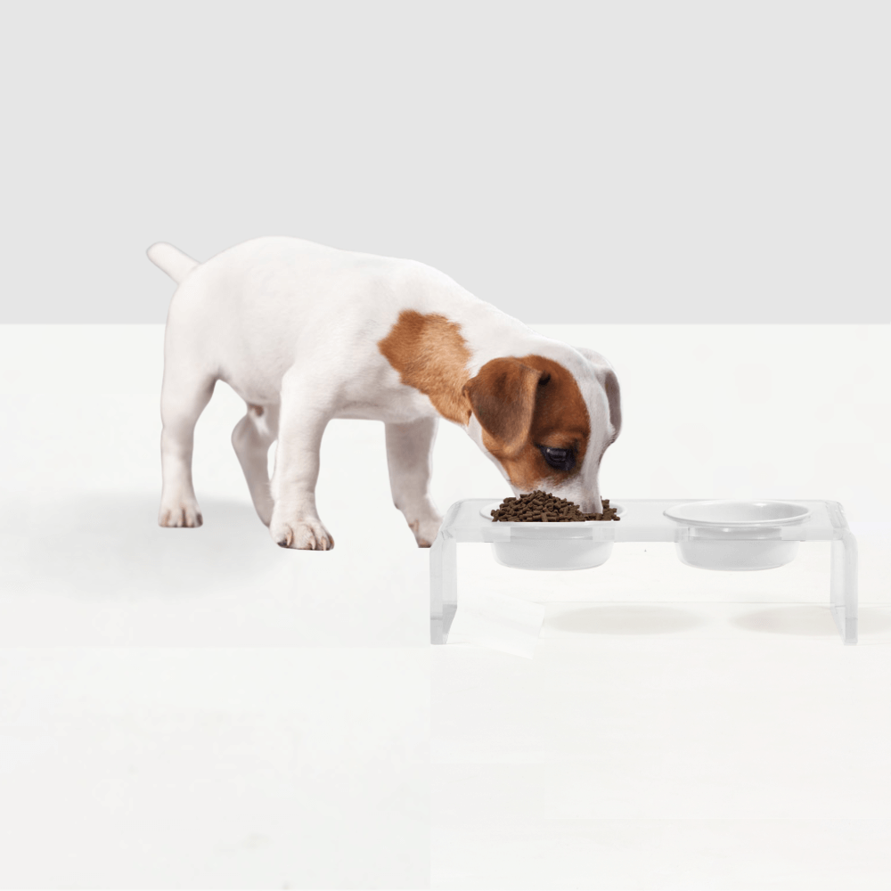 Hiddin Small Acrylic Feeder with Stainless Steel Bowls – 1.5 or 3.5 Cup – front view