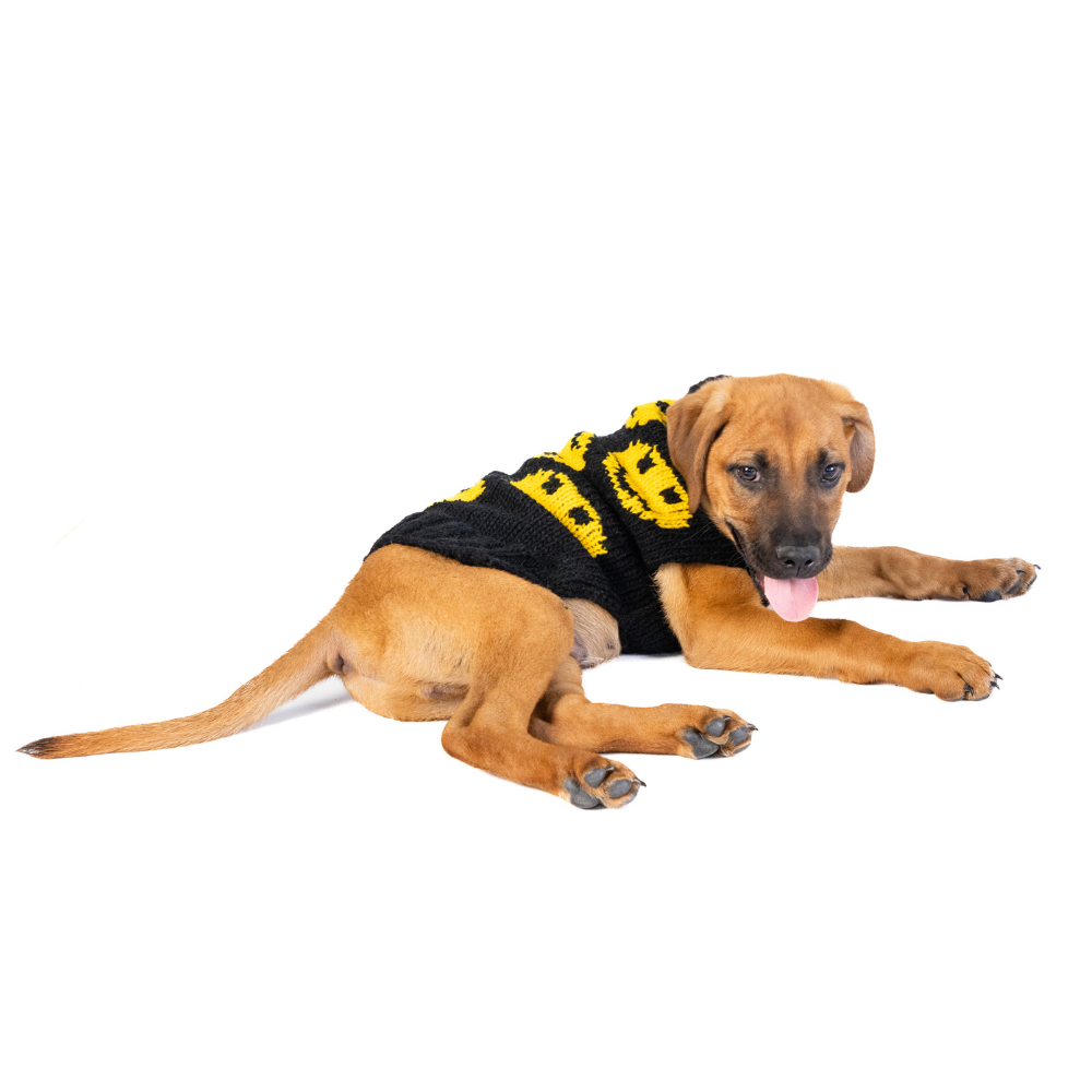 Smiley Dog Sweater Golden Yellow and Black – photo 2 of 6