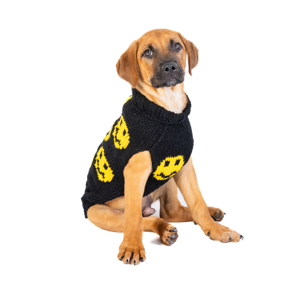 Smiley Dog Sweater Golden Yellow and Black – photo 3 of 6