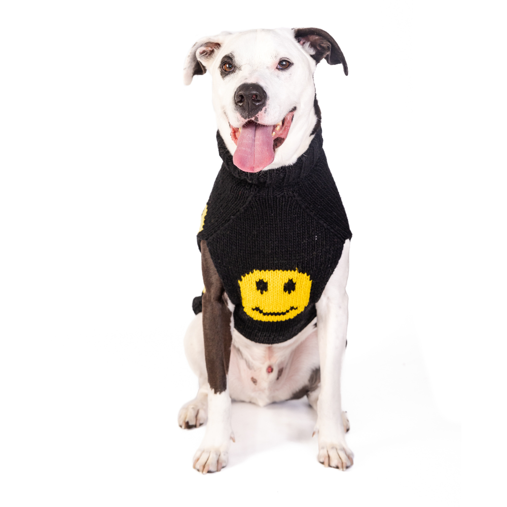 Smiley Dog Sweater Golden Yellow and Black – photo 4 of 6
