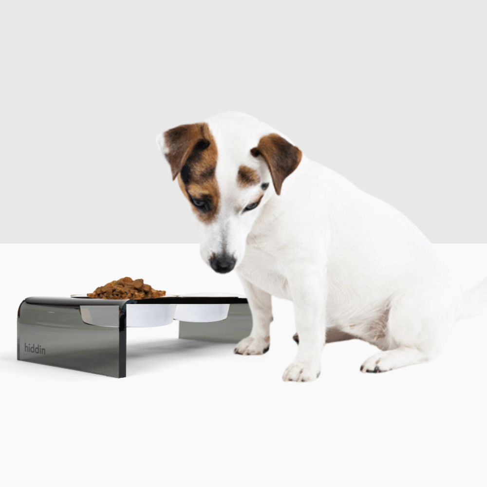 Hiddin Smoke Grey Lucite Feeder with Metal Bowls – alternate view 17