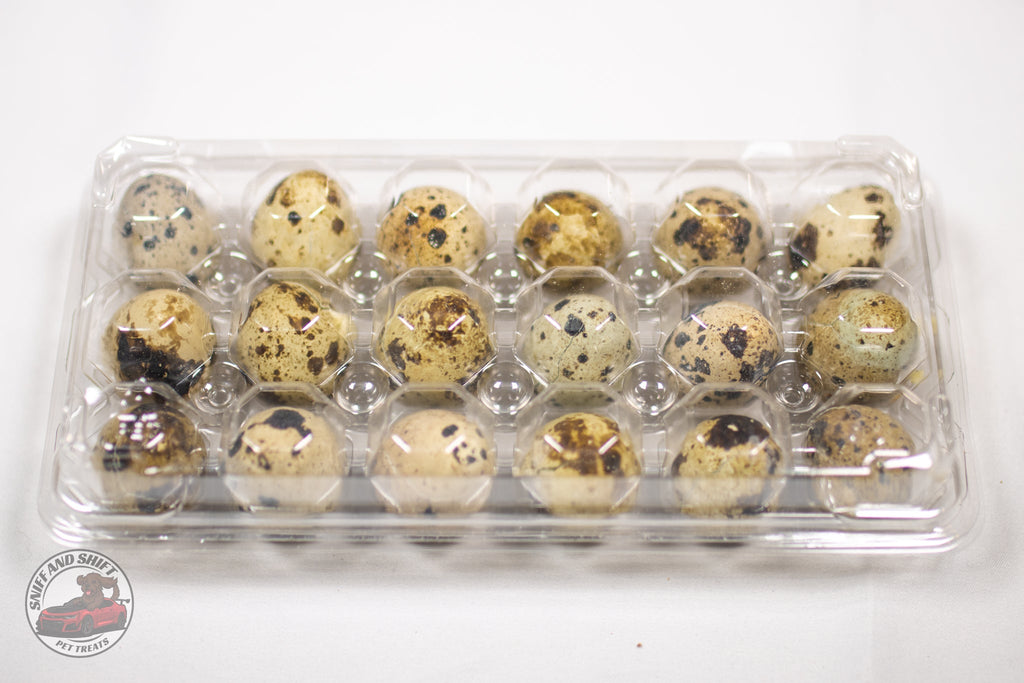 Freeze-Dried Raw Quail Eggs for Dogs  Cats Whole Egg Bulk Sizes, side view