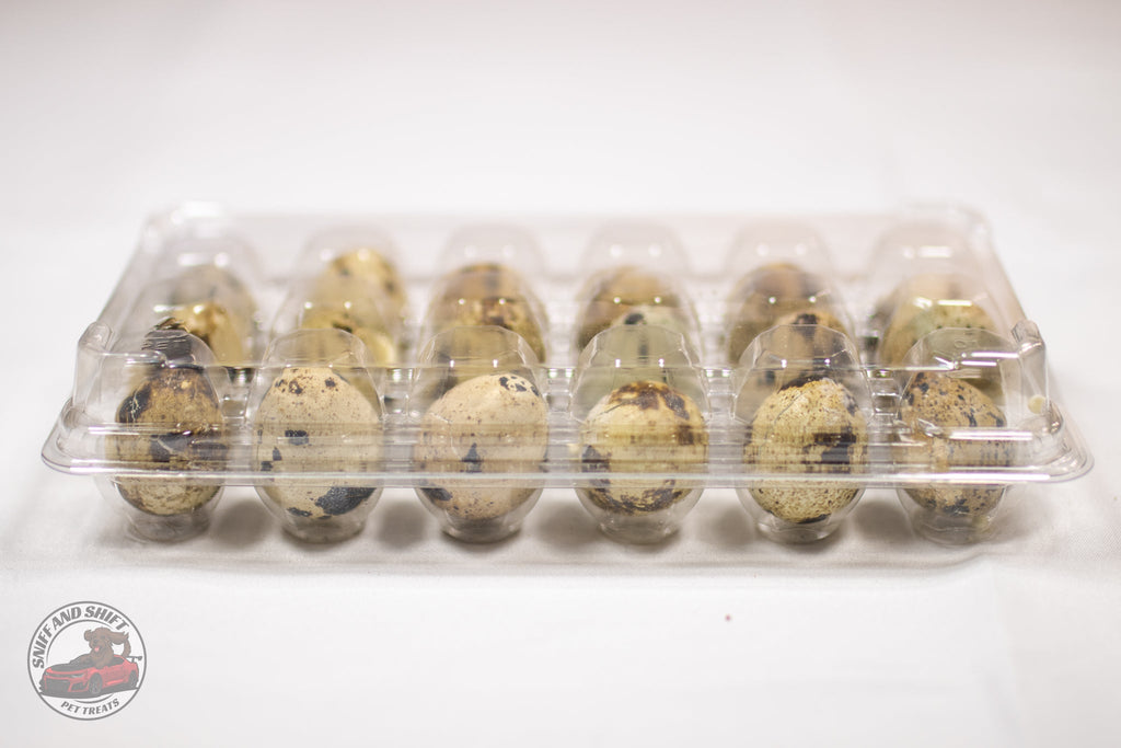 Freeze-Dried Raw Quail Eggs for Dogs  Cats Whole Egg Bulk Sizes, alternate view