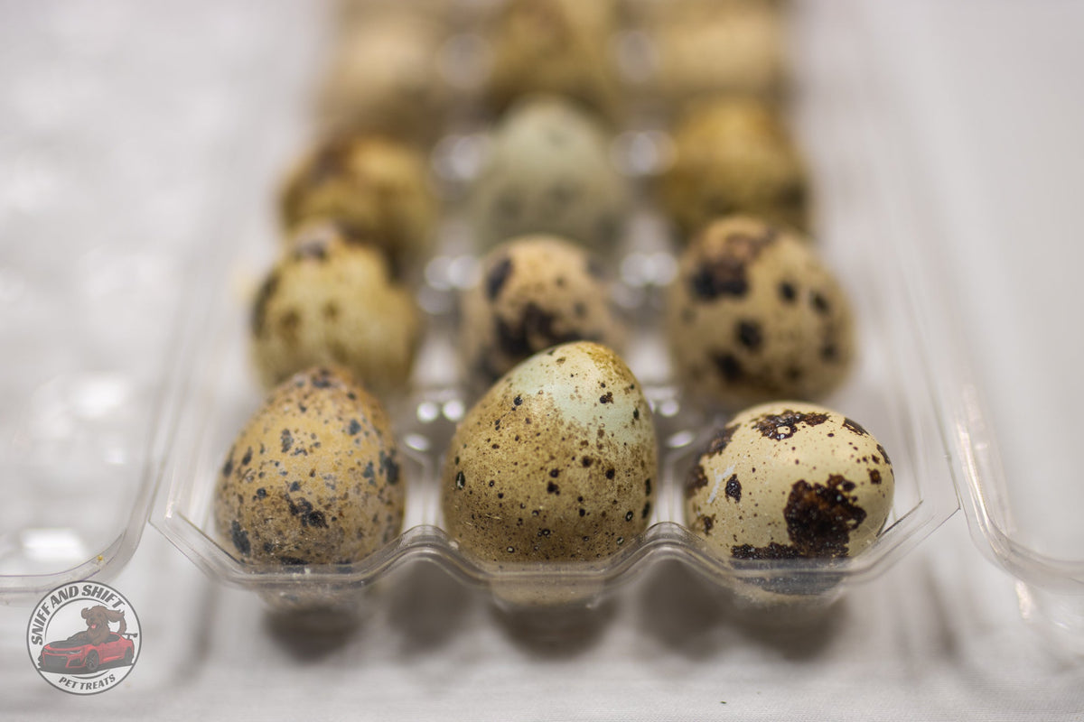 Freeze-Dried Raw Quail Eggs for Dogs  Cats Whole Egg Bulk Sizes, lifestyle
