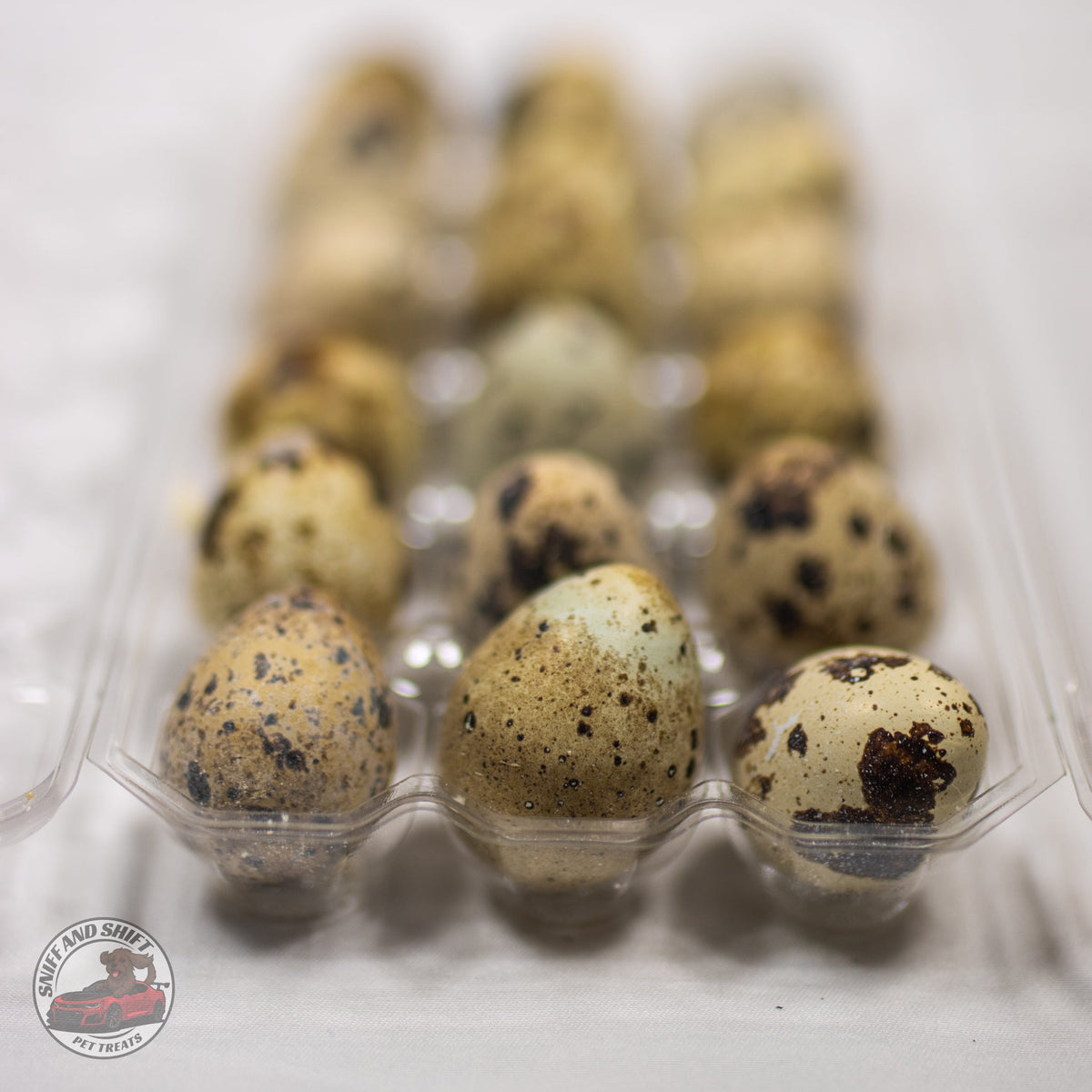 Freeze-Dried Raw Quail Eggs for Dogs  Cats Whole Egg Bulk Sizes, back view
