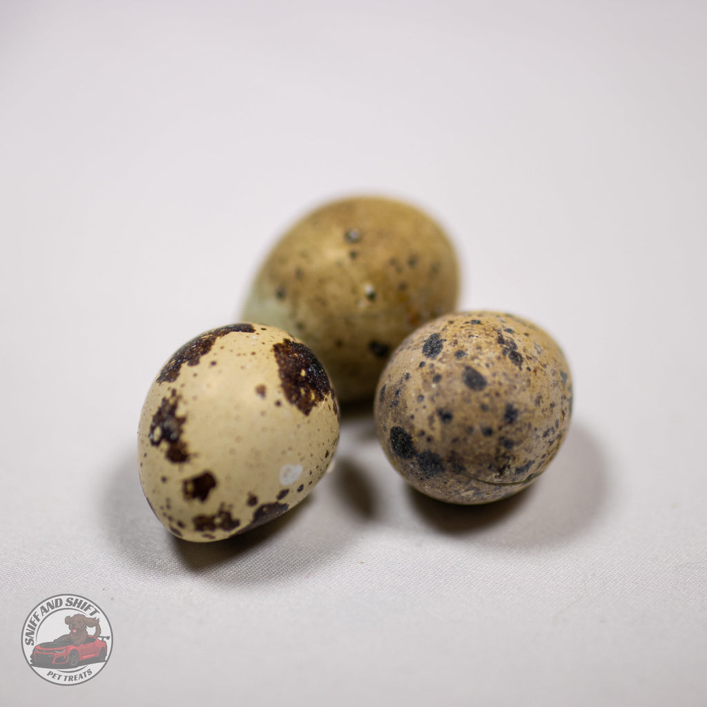 Freeze-Dried Raw Quail Eggs for Dogs  Cats Whole Egg Bulk Sizes, detail view