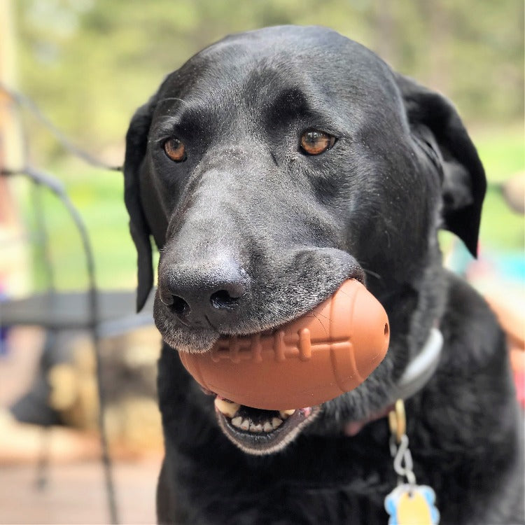 Football Dog Chew Toy & Treat Dispenser – USA Made – alternate view 9