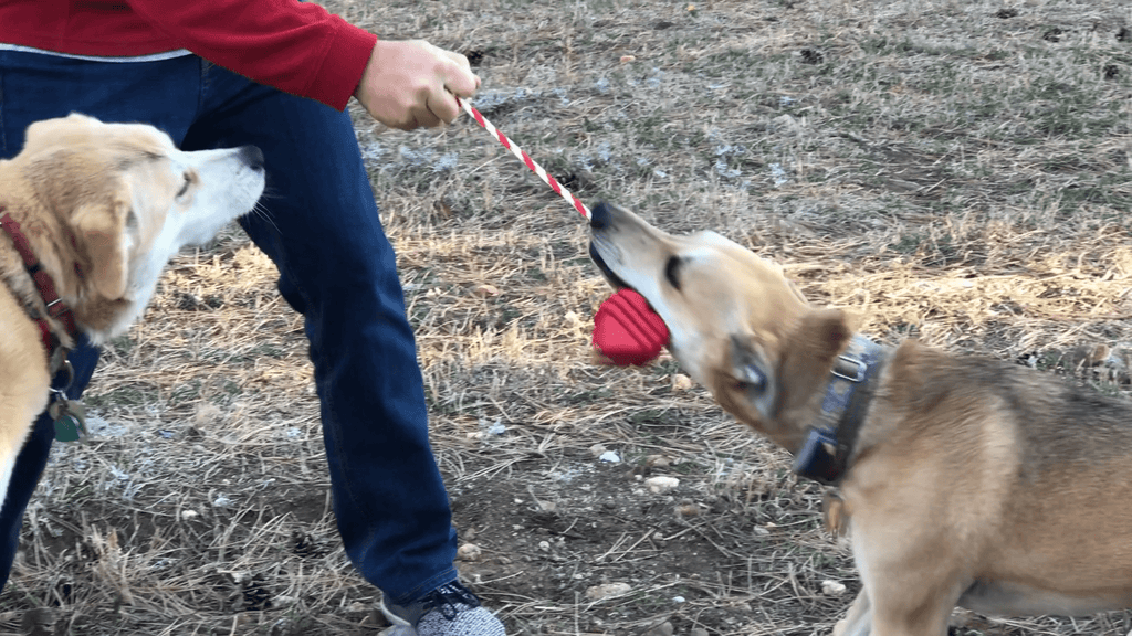 SodaPup Heart on a String red rubber tug dog toy – photo 5 of 10