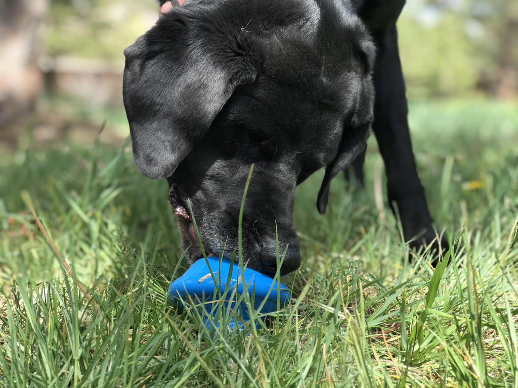 SodaPup Flying Saucer blue rubber chew toy and treat dispenser – photo 7 of 7