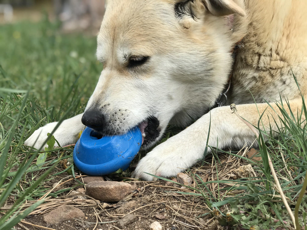 SodaPup Flying Saucer blue rubber chew toy and treat dispenser – photo 6 of 7