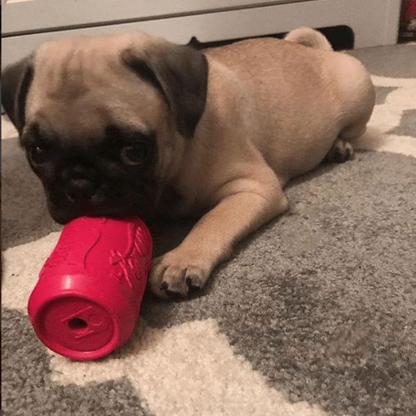 SodaPup Puppy Can Toy pink rubber treat dispenser for puppies – photo 7 of 10