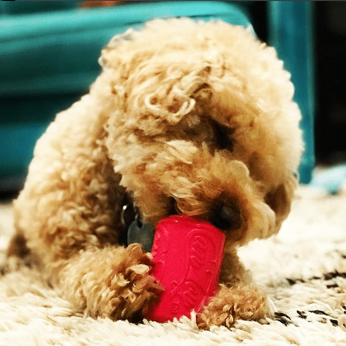 SodaPup Puppy Can Toy pink rubber treat dispenser for puppies – photo 9 of 10